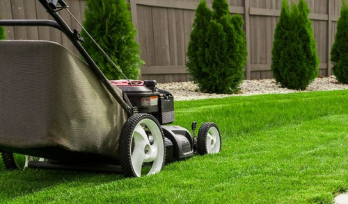 Summer Lawn Care