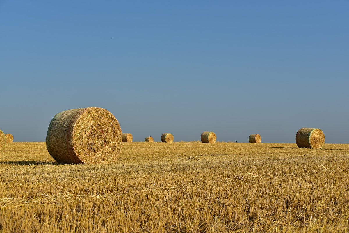 The Importance of Extra Hay During Winter Months