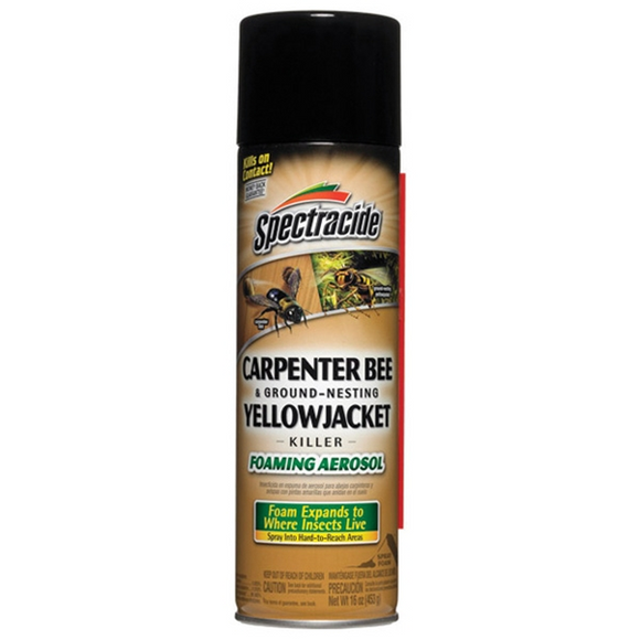 SPECTRACIDE CARPENTER BEE AND GROUND-NESTING YELLOW JACKET KILLER FOAMING AEROSOL (16 oz)