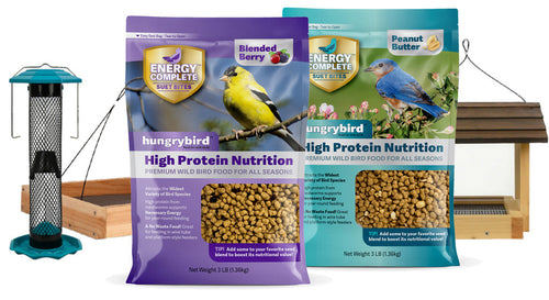 Hungrybird Blended Berry Energy Complete™ High Protein Suet Bites