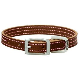 Straight Dog Collar, Brown/Pink, 1 x 21-In.