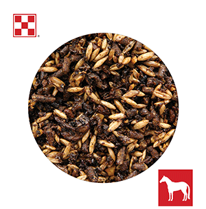 Purina® Race Ready® Horse Feed