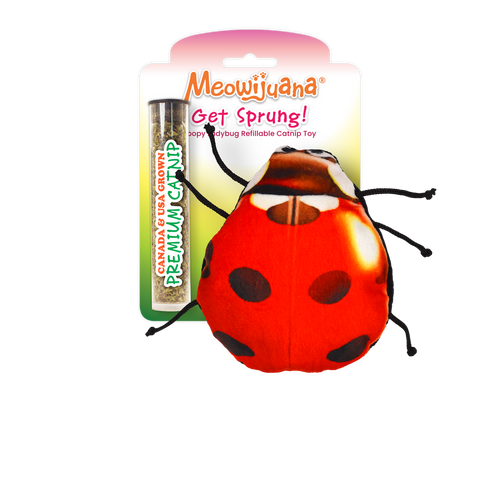 Meowijuana Get Sprung Ladybug Cat Toy (1 Count)