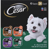 Cesar Classic Loaf Duck/Oven Roasted Chicken/Grilled Chicken/Turkey Variety Adult Wet Dog Food (24-Pack)