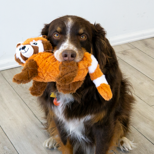 KONG Scampers Red Panda Dog Toy (Medium)