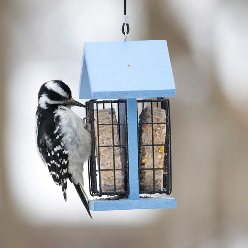 Nature's Way EcoCycle™ Suet Snacker Recycled Plastic Bird Feeder