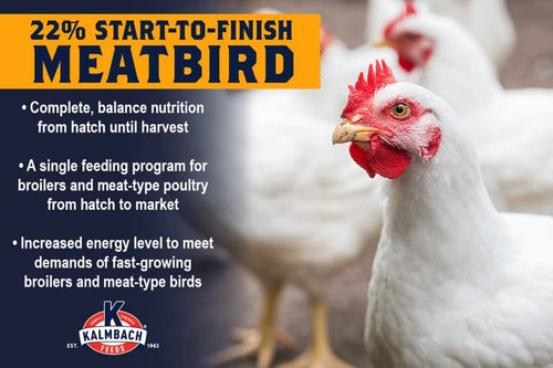 22% Start-To-Finish Meatbird Feed (50 Lb.)