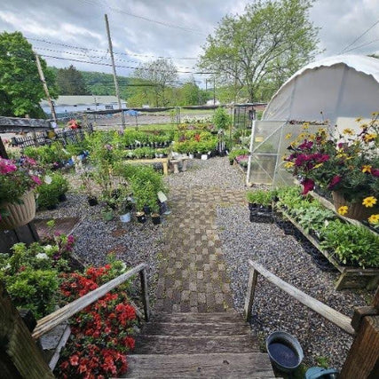 Lawn & Garden SuppliesOutdoor garden center with a variety of potted plants and flowers in vibrant colors, set on gravel paths. A cloudy sky and greenery surround the area.