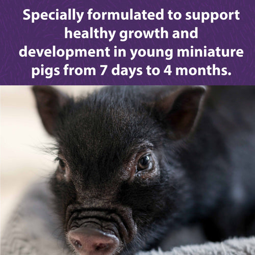 Mazuri® Mini Pig Youth Feed (25 Lb)