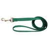 Hamilton Single Thick 6' Long Leashes Green