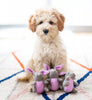 Zippy Paws Burrow Refill 3Pk Bunnies