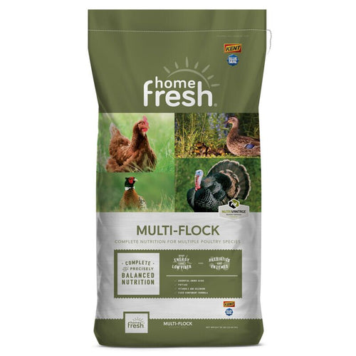 Blue Seal Home Fresh Multi-Flock Chick N Game Starter/Grower 22 Crumble