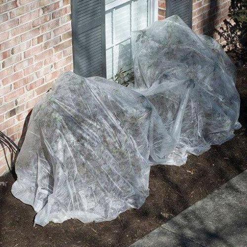 Dalen Insect Guard - Bug Blocking Protective Plant & Garden Cover