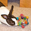 Ware Large Atomic Ball Small Animal Toy