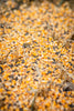 Whitetail Institute 30-06 Tall Tine Protein Feed, Deer