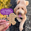 Cloud Star Buddy Biscuits Crunchy Dog Treats,  Assorted Flavors