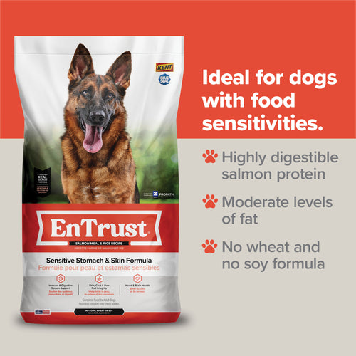 Kent Blue Seal Entrust® Sensitive Stomach & Skin Salmon Meal & Rice Adult Dog Food
