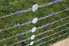 Gripple Plus Wire Tensioner