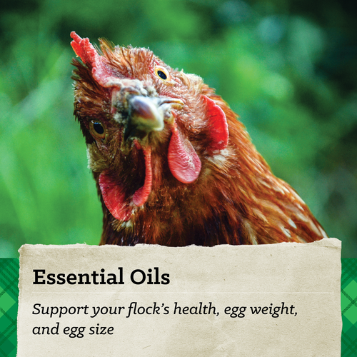 NatureWise® 17% Protein Layer Crumble Poultry Feed