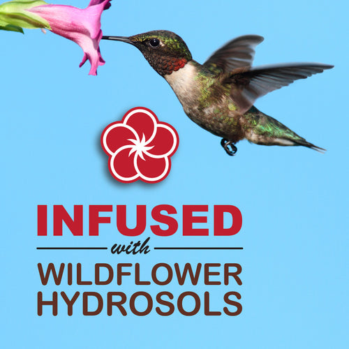 Sweet-Seed Sweet-Nectar™ Hummingbird Nectar Concentrate, 1.5 L (50.7 oz.)
