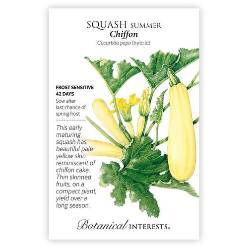 Botanical Interests Chiffon Summer Squash Seeds