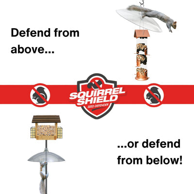 Nature's Way Squirrel Shield Dual-Mount Transparent 16 Squirrel Baffle
