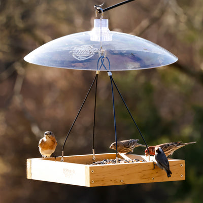 Nature's Way Squirrel Shield Dual-Mount Transparent 16 Squirrel Baffle