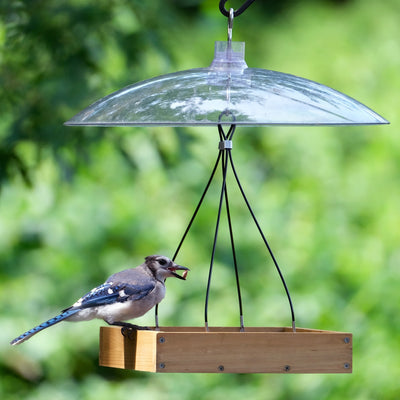 Nature's Way Squirrel Shield Dual-Mount Transparent 16 Squirrel Baffle