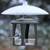 Nature's Way Squirrel Shield Dual-Mount Transparent 16 Squirrel Baffle