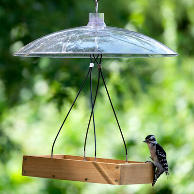 Nature's Way Squirrel Shield Dual-Mount Transparent 16 Squirrel Baffle