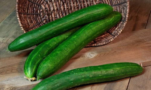 Seedway Tasty Green Cucumber (Not Treated)