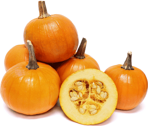 Seedway Baby Pam Pumpkin (Not Treated)