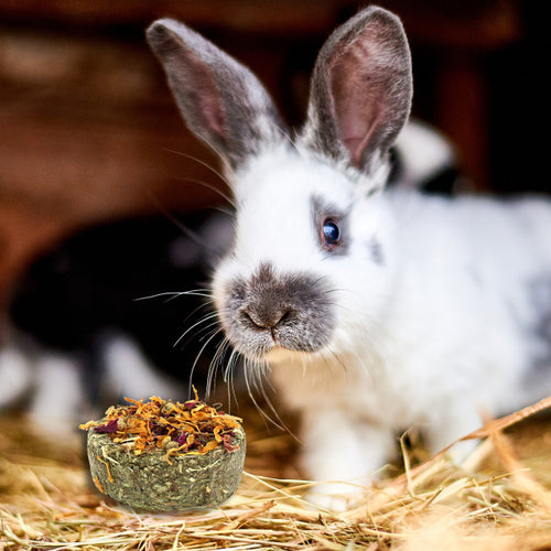 Vitakraft Natural Timothy Treat with Flowers for Small Animals – 2/Pack
