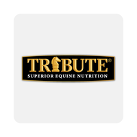 Tribute Equine Feeds