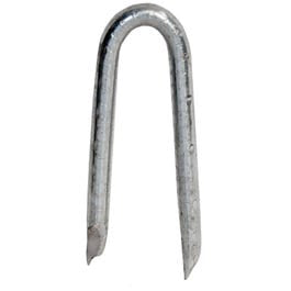 Galvanized Fence Staple, Hot-Dipped, 2.5-In., 5-Lbs.