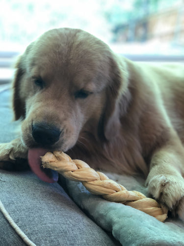 Redbarn Puff Braid Dog Treats