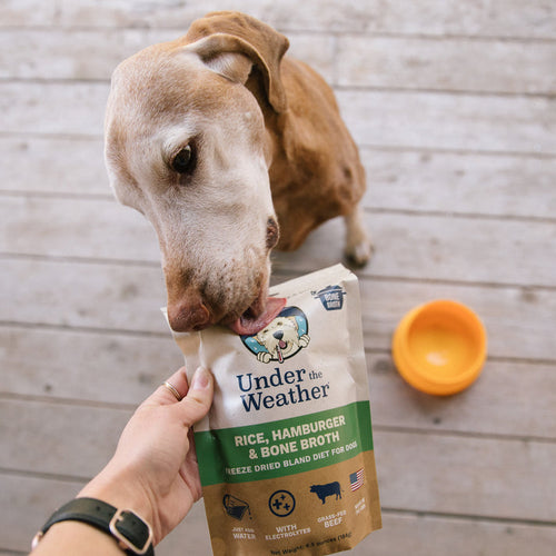 Under the Weather Hamburger, Rice, & Bone Broth Bland Diet For Dogs (6 oz)