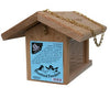 C&S Bluebird Feeder