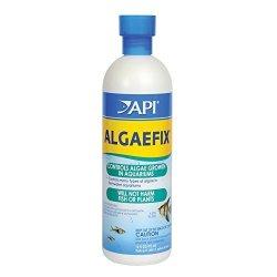 API Algae Fix 16 oz. Bottle