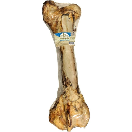 Fieldcrest Farms Monster Femur Bone